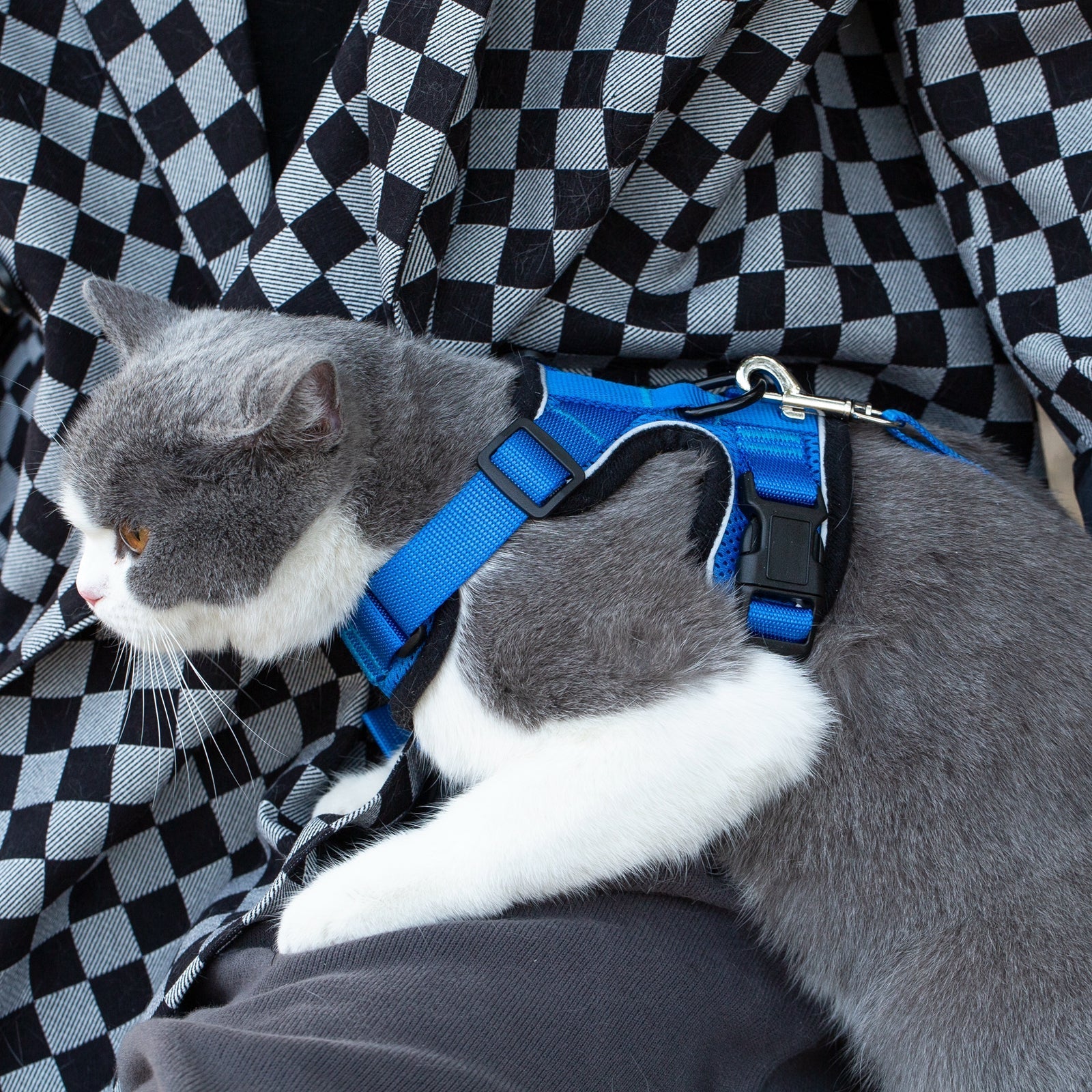 Mr. Peanut's PurrTrek Reflective Cat Harness with Matching Leash