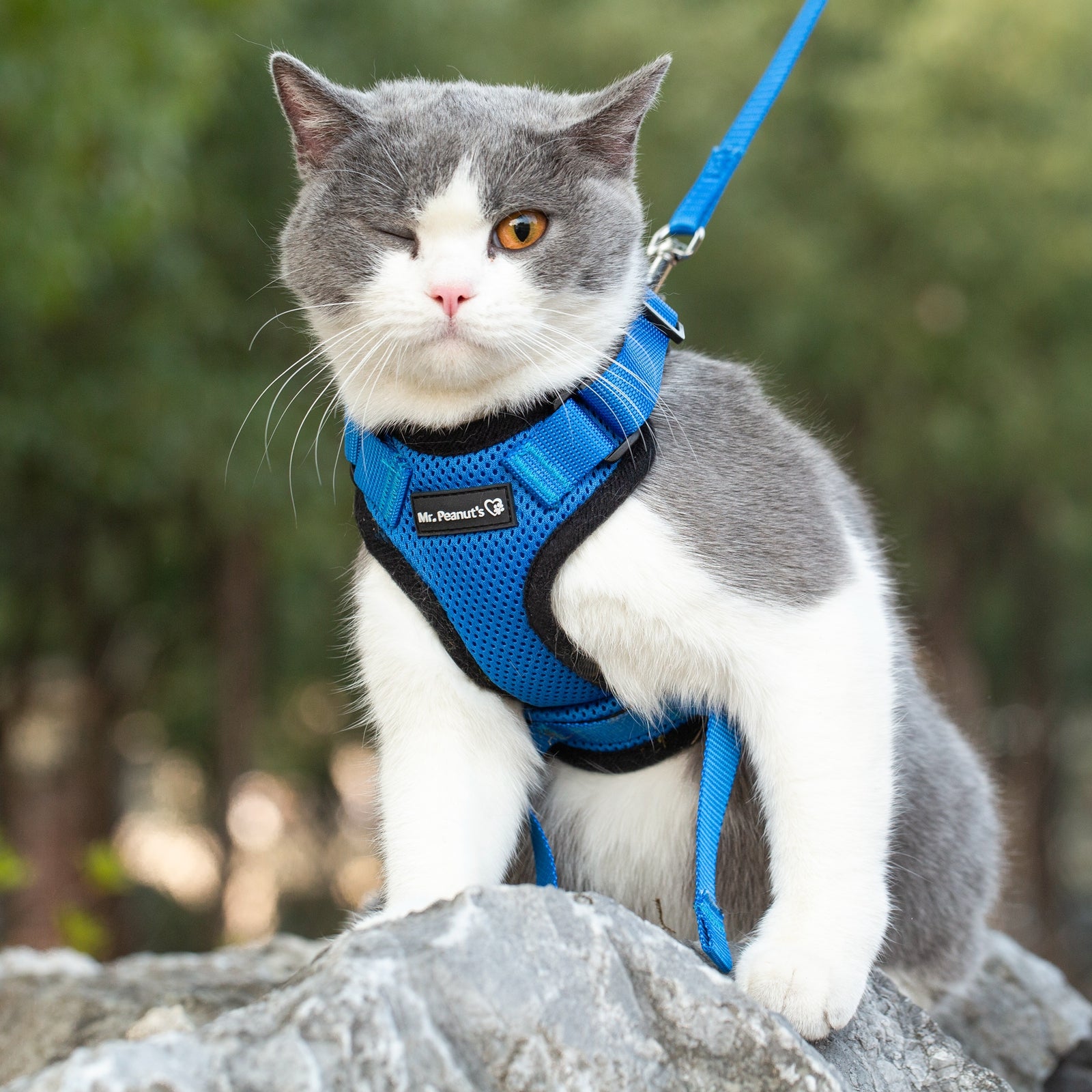 Mr. Peanut's PurrTrek Reflective Cat Harness with Matching Leash