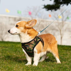 Mr. Peanut's PupTrek Small Dog/Cat Soft Mesh Step In Harness Vest