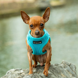 Mr. Peanut's PupTrek Small Dog/Cat Soft Mesh Step In Harness Vest