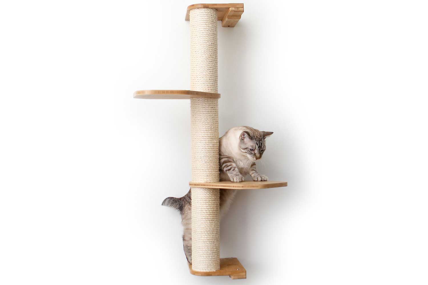Wall Mounted Cat Climbing Pole - Sisal