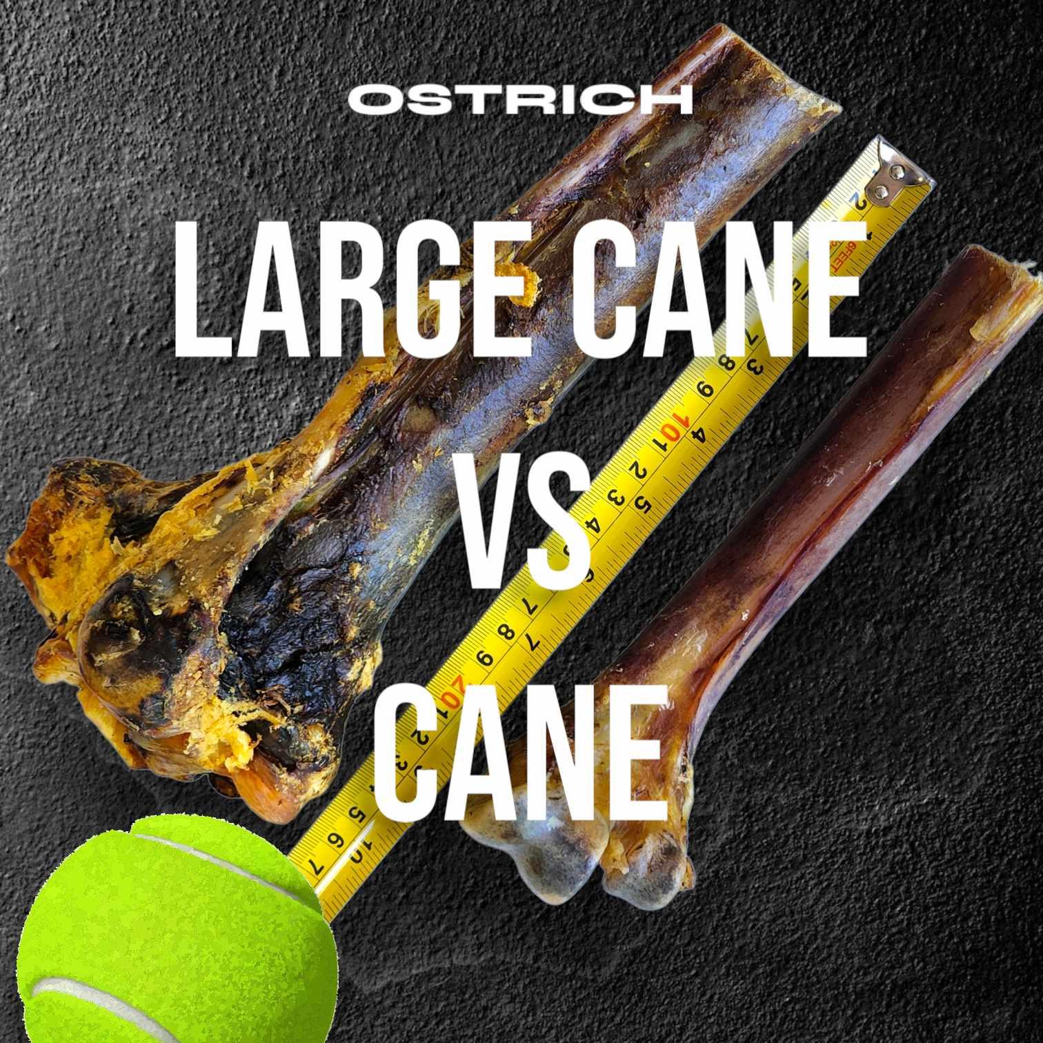 Large Ostrich Cane (11.5