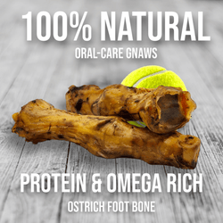 Ostrich Foot Bone (7" x 3.5"): The Flavorful & Long-Lasting Chew for Medium to Large Dogs