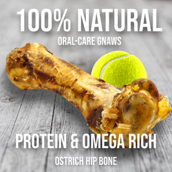 Ostrich Hip Bone (12" x 5"x 3”): The Durable, Flavor-Packed Chew for Medium & Large Dogs