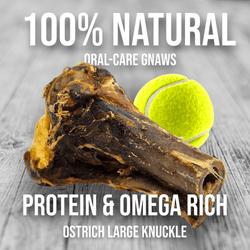 Ostrich Knuckle (Medium – 4" x 3"): The Perfect Chew for Small to Medium Dogs & Sensitive Stomachs