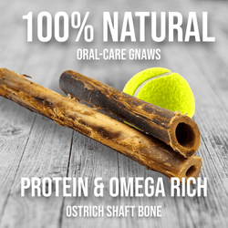 Ostrich Shaft Bones (11" x 2"): The Long-Lasting, Flavorful Chew for Medium to Large Dogs