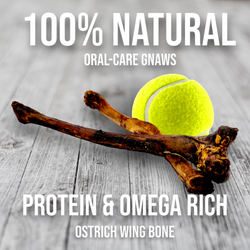 Ostrich Wing Bone (13" x 1.5"): The Ultimate Long-Lasting Chew for Small Dogs & Light Chewers