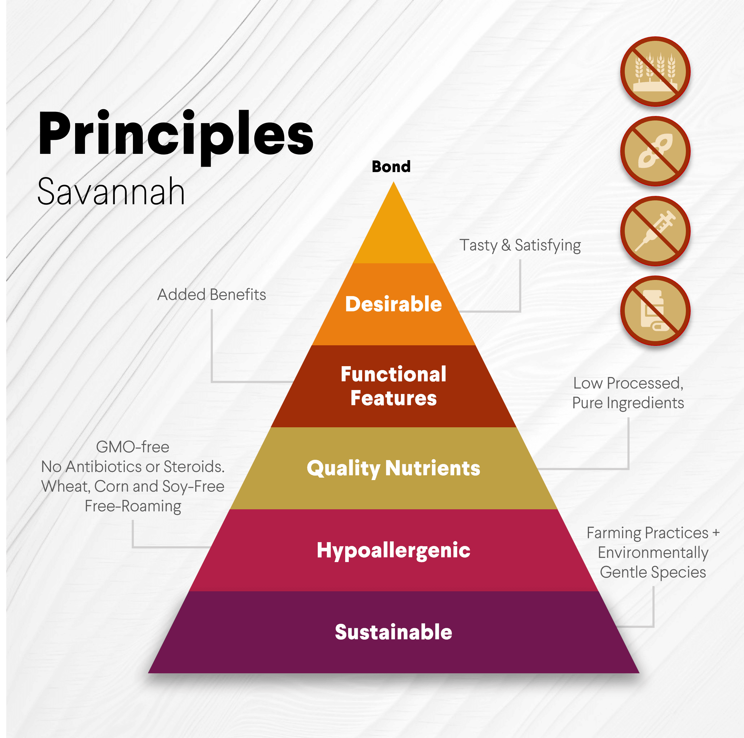 Ostrich Knuckle (Medium – 4" x 3"): The Perfect Chew for Small to Medium Dogs & Sensitive Stomachs