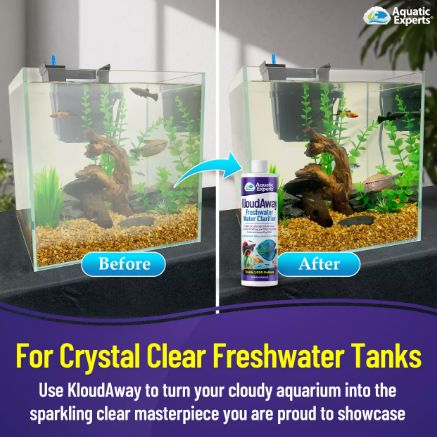 KloudAway Aquarium Water Clarifier 500ml – Freshwater Treatment | Aquatic Experts