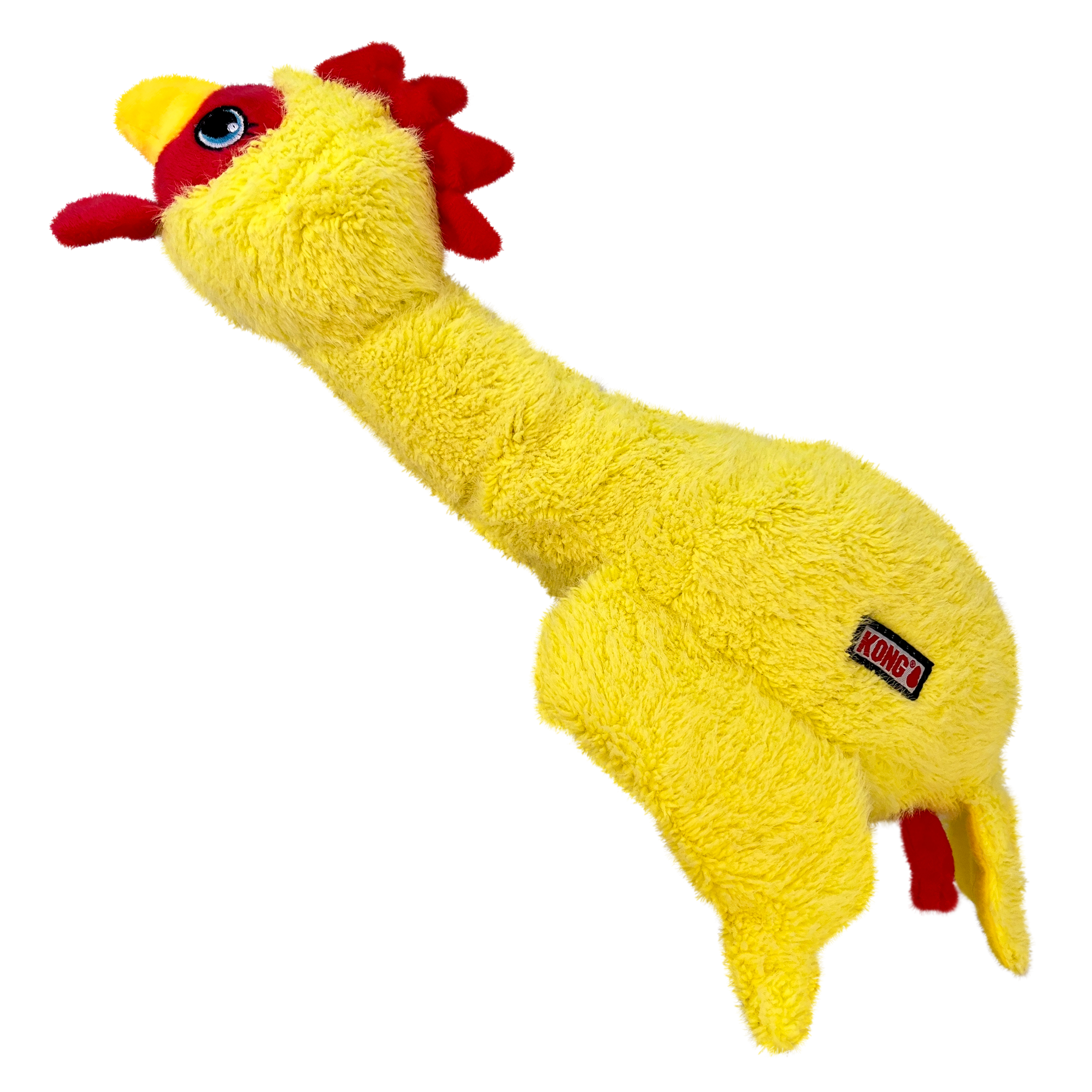 The Family Pet