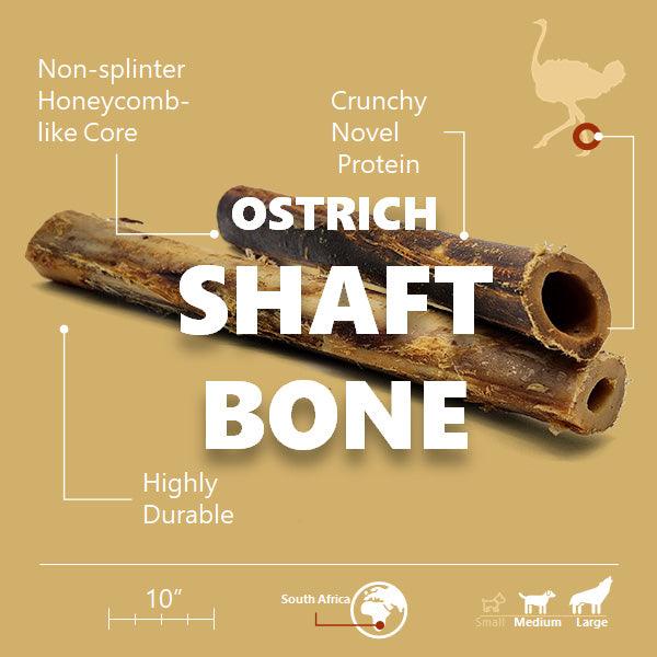 Ostrich Shaft Bones (11