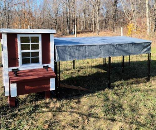 Small Chicken Coop - Up to 5 Chickens