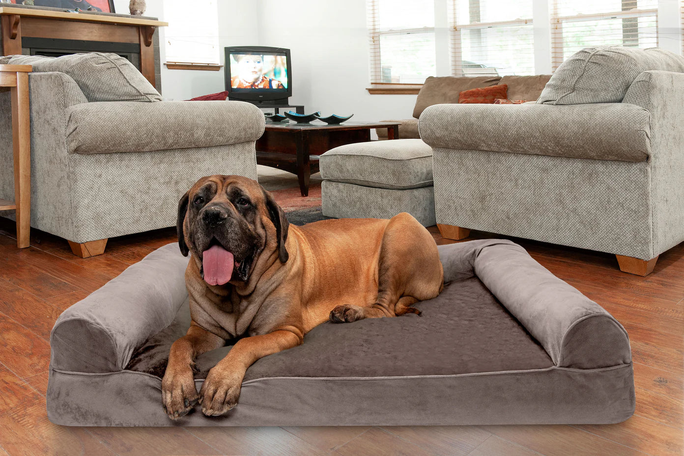 Furhaven Orthopedic Bed Sofa Almondine, Sofa Dog Bed - Faux Fur & Velvet