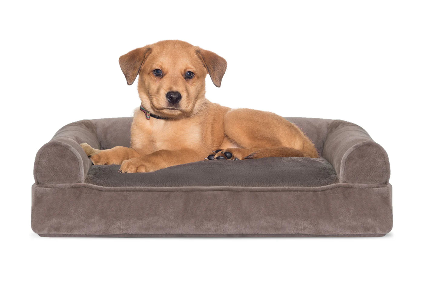 Furhaven Orthopedic Bed Sofa Almondine, Sofa Dog Bed - Faux Fur & Velvet
