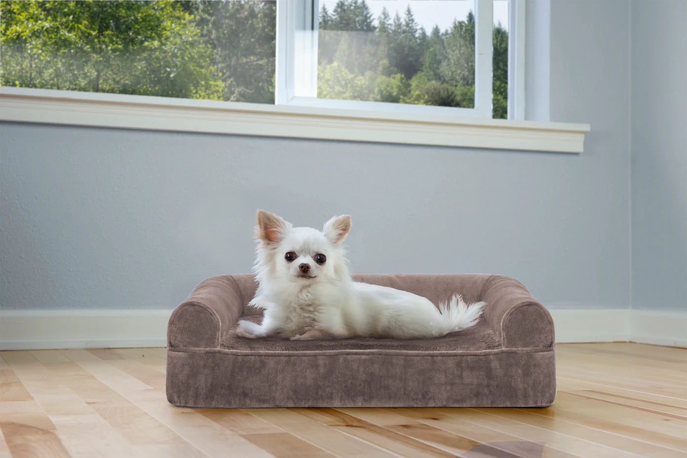 Furhaven Orthopedic Bed Sofa Almondine, Sofa Dog Bed - Faux Fur & Velvet