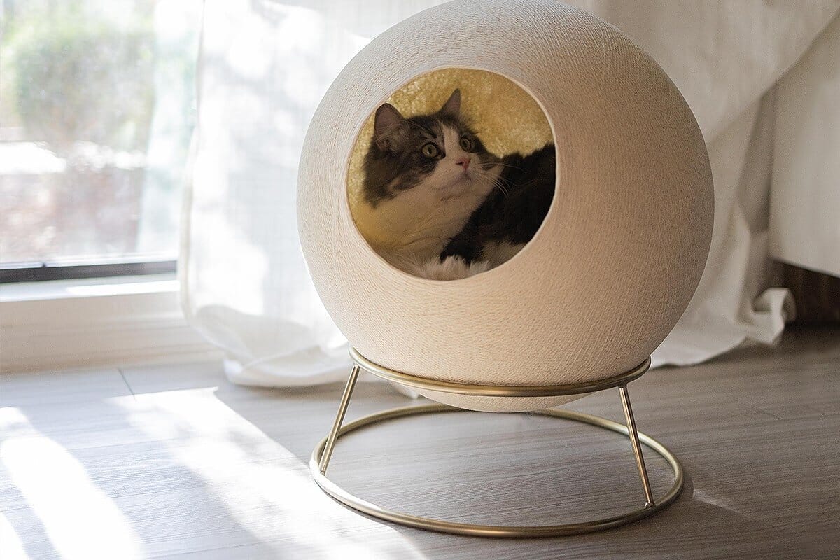 Stellar Cat Bed