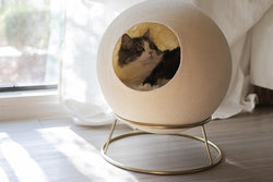 Stellar Cat Bed