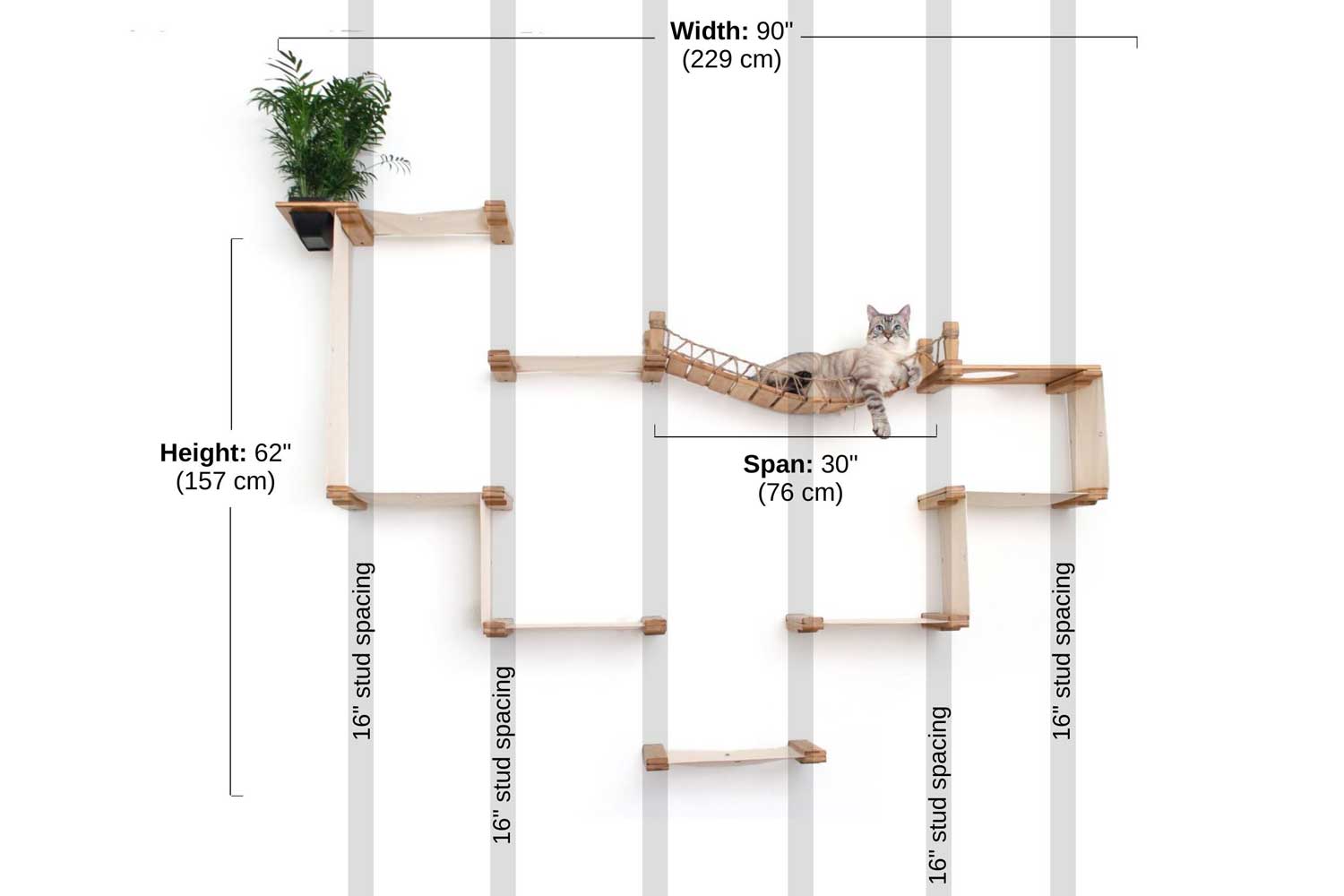 The Temple - Giant Cat Tree on Wall