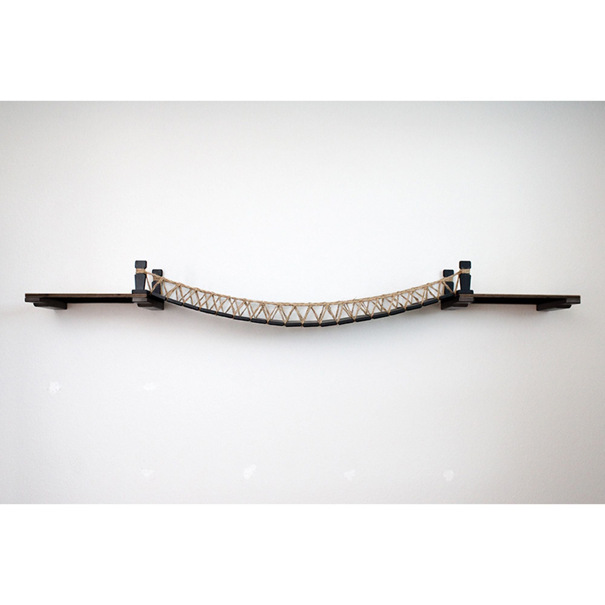 Cat Wall Bridge and Shelf Set