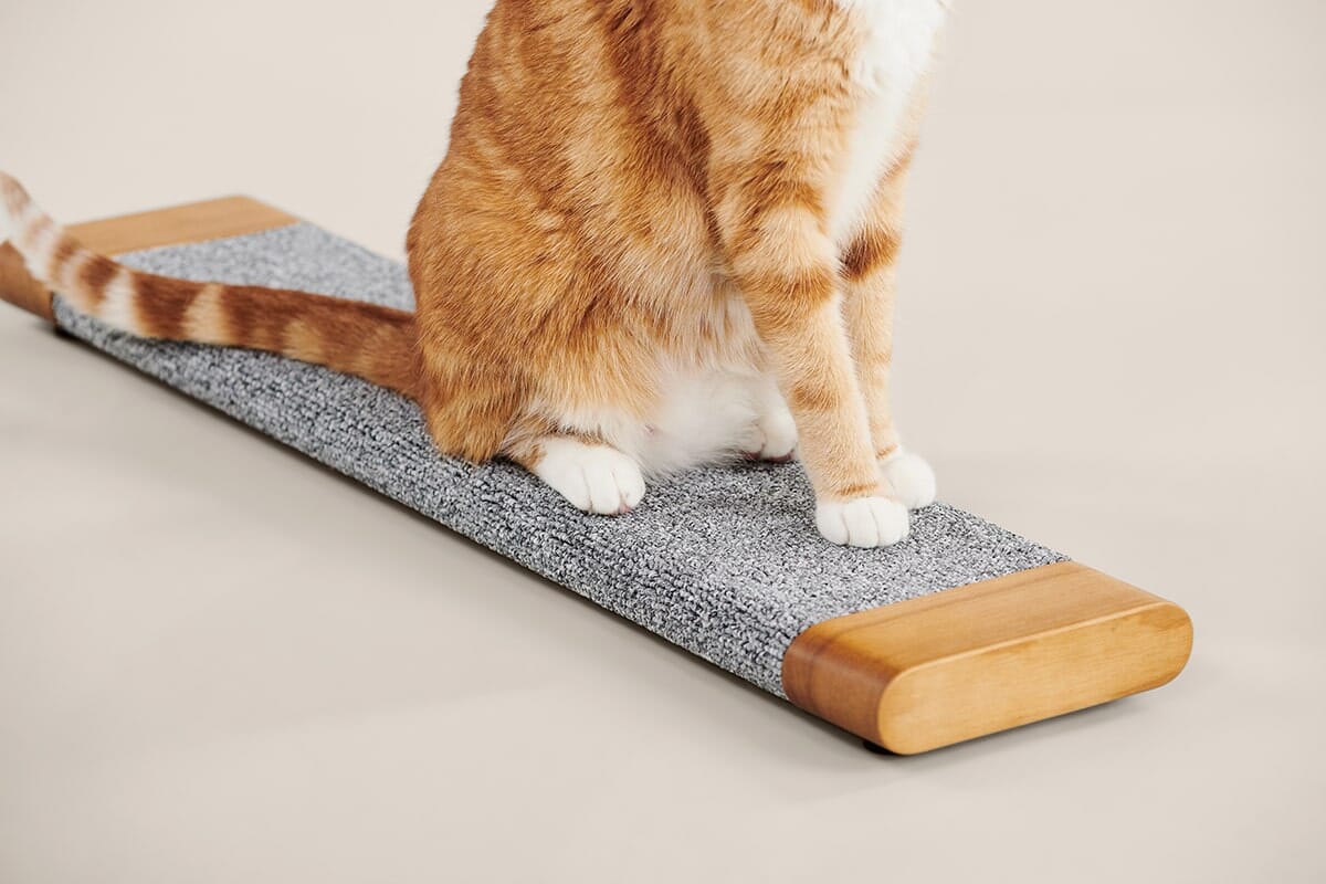 Tab Scratching Board