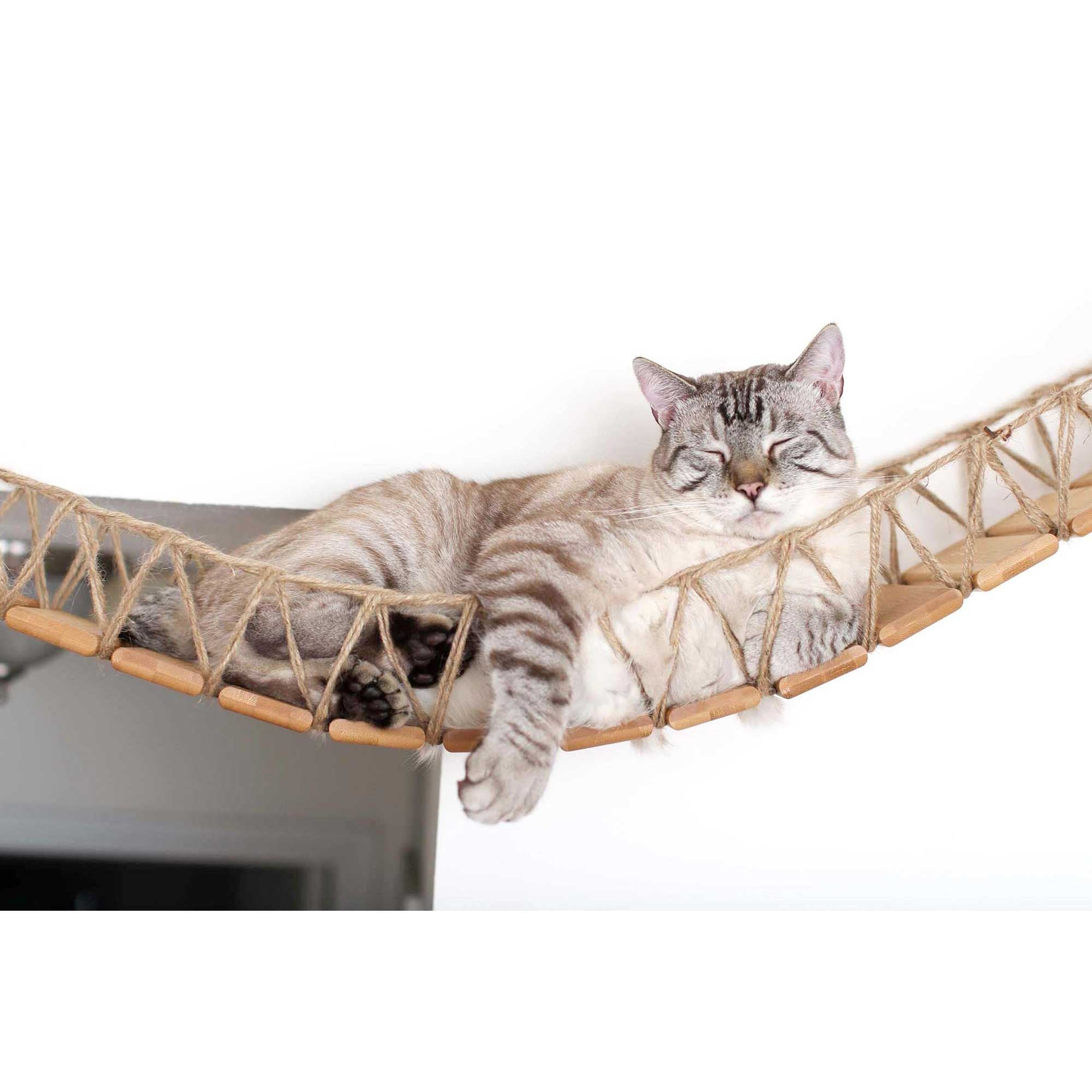 Cat Wall Bridge and Shelf Set