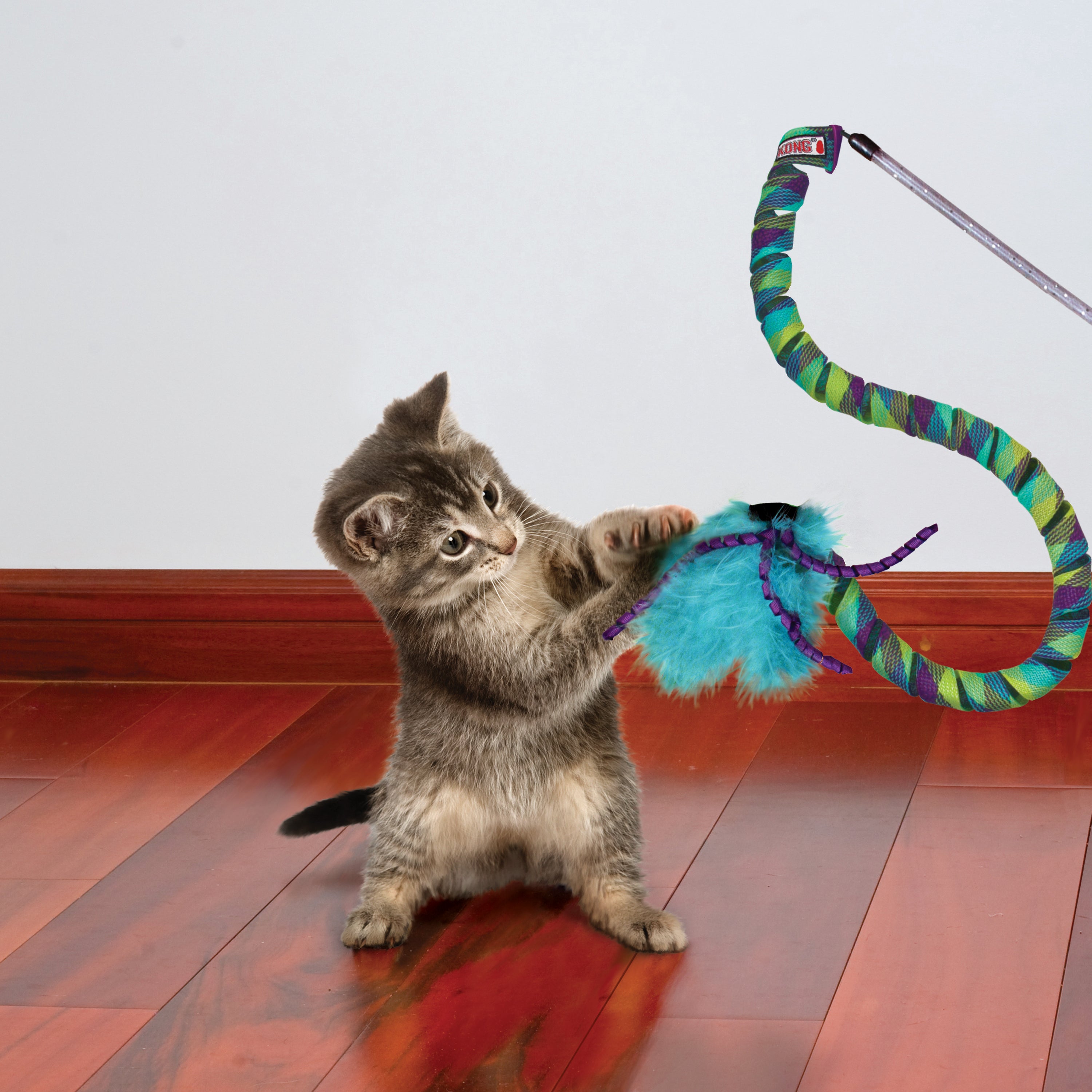 The Family Pet