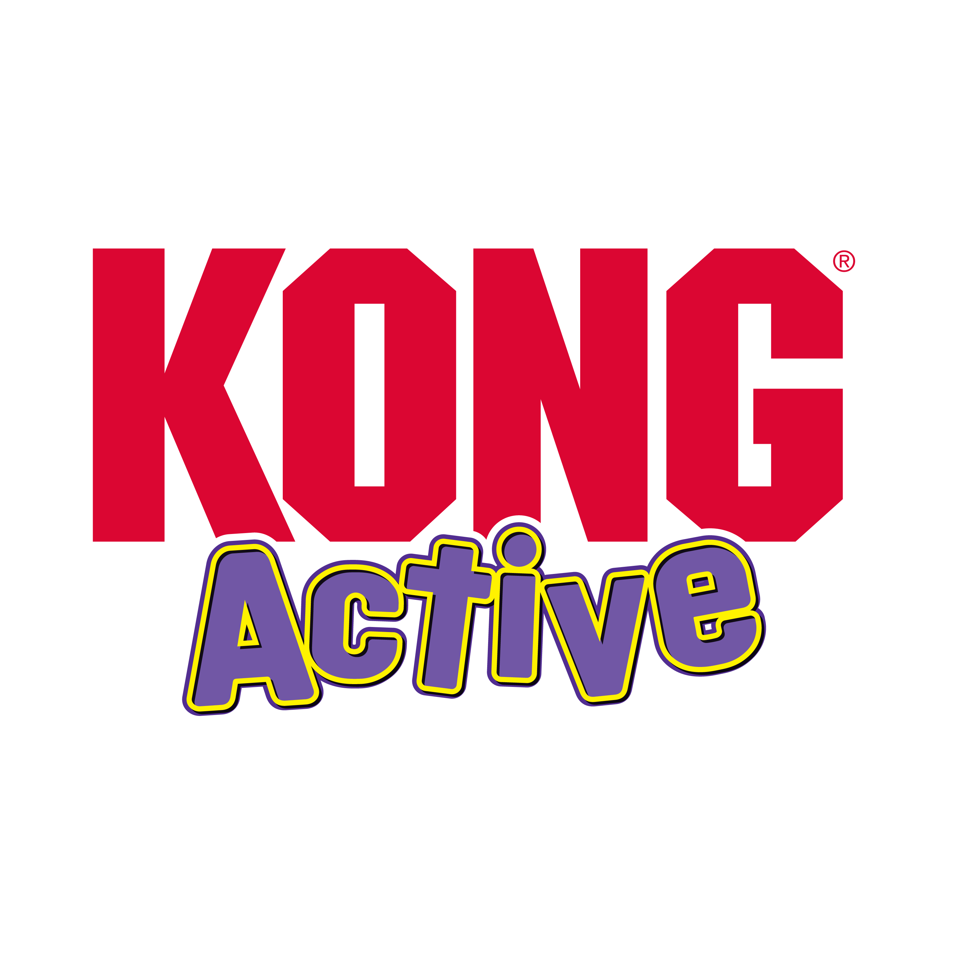 Kong Teaser Swizzle Bird Wand