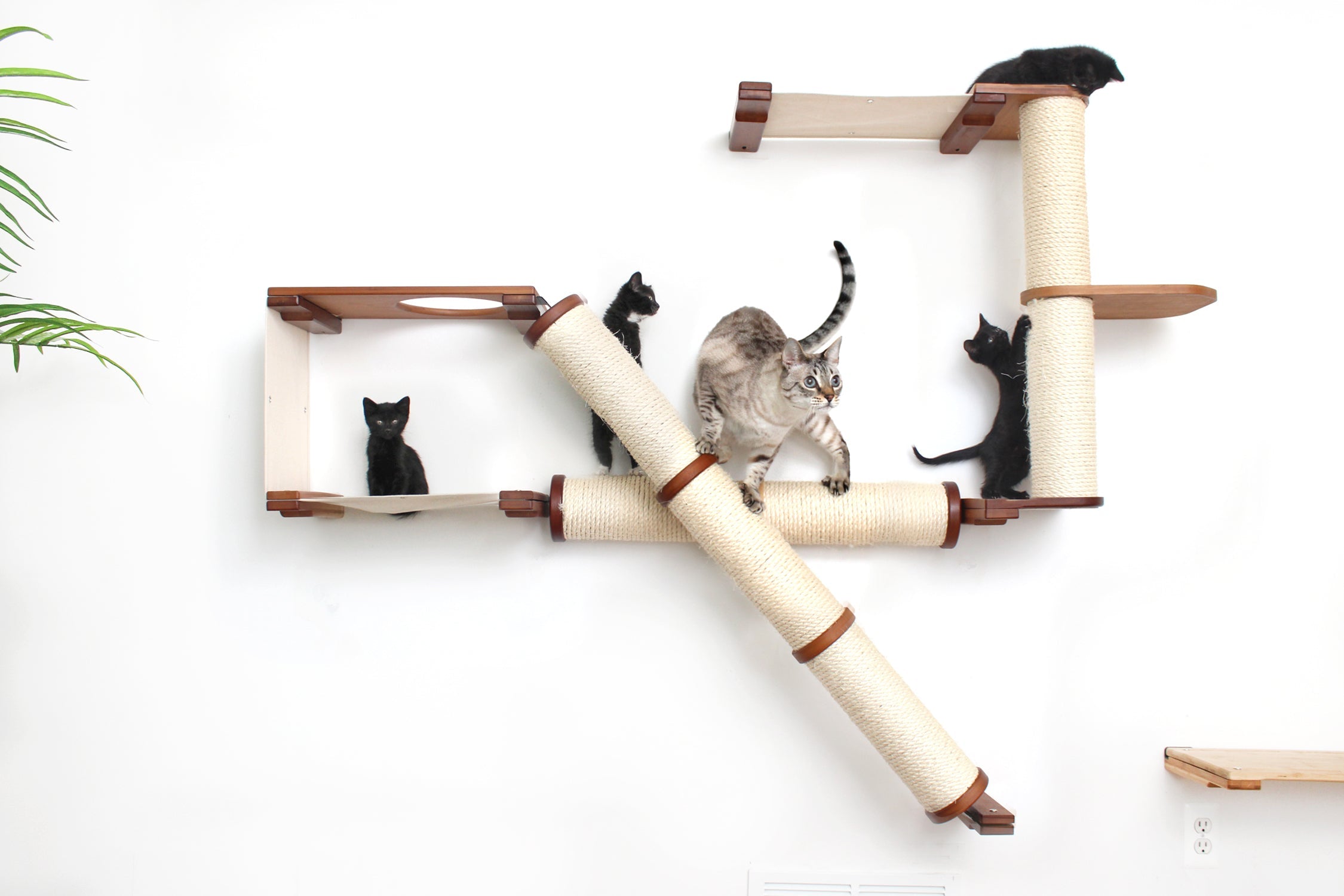The Crossroads - Cat Wall Scratcher - Tree with Ramp