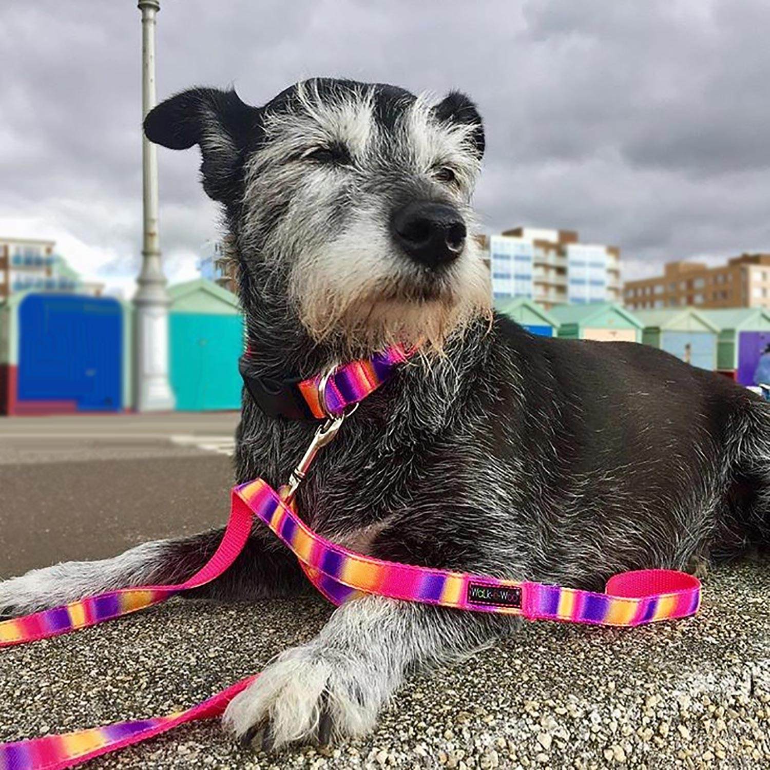 Walk-e-Woo Tie Dye Dog Collars, Leads, and Bows - 4 Styles