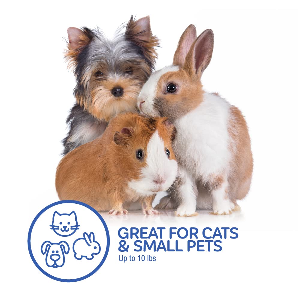 19inch Petmate Top Load Cat Purple Kennel