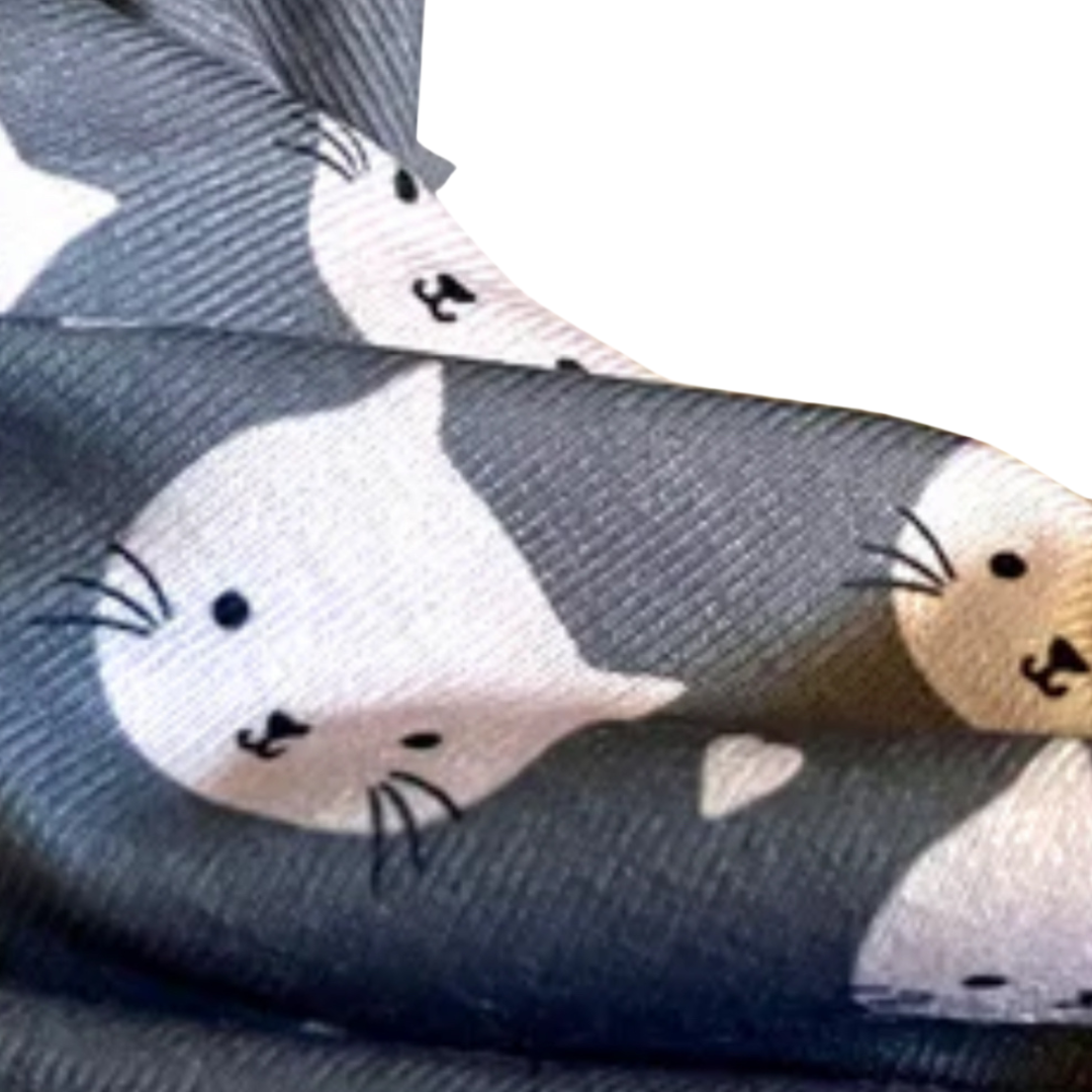 Colorful Cat Buff/Scarf