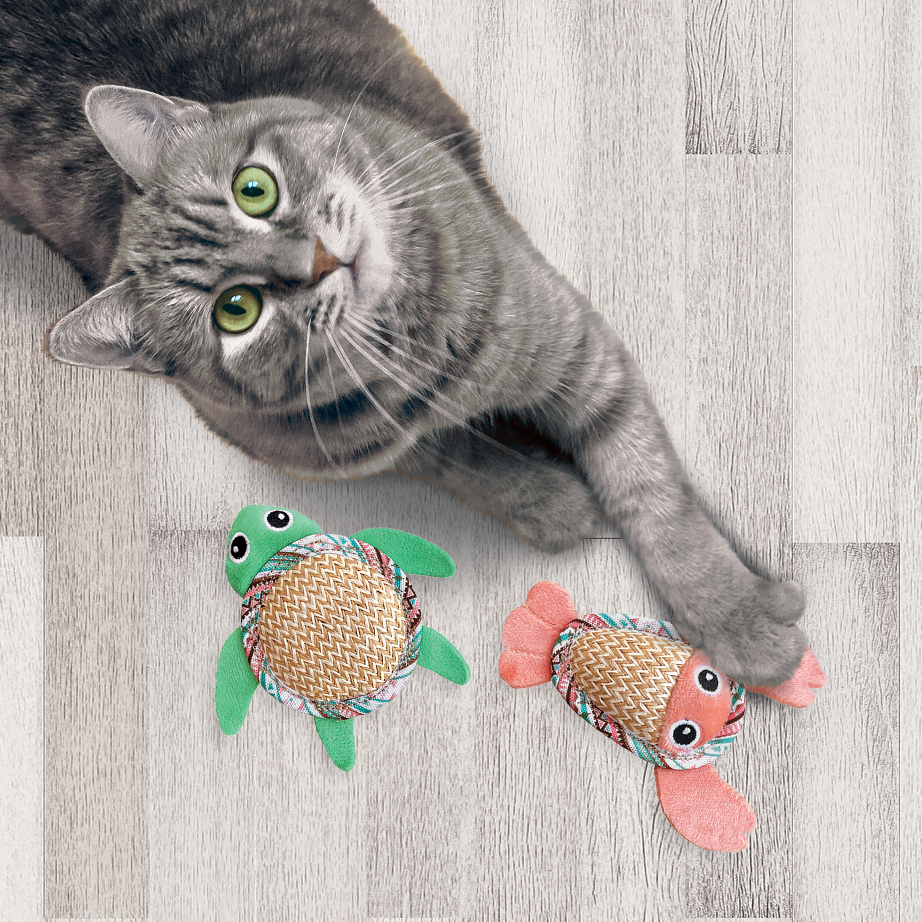 Kong Cat Tropics Pals