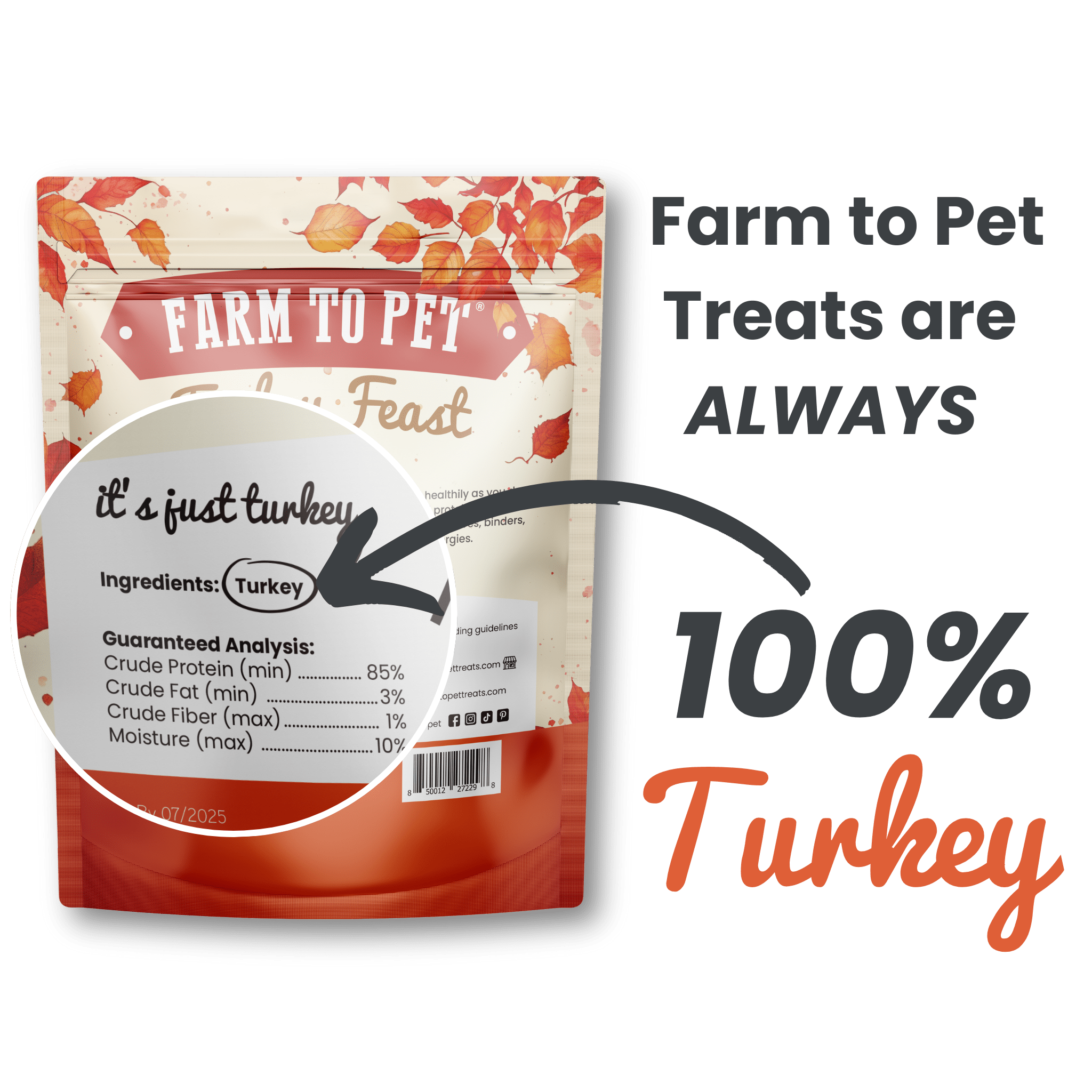 Farm To Pet Turkey Feast Chips (12oz)