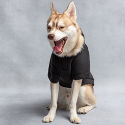 US Army Hooded Dog Fleece - Black