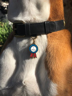 I Tried Pet ID Tag