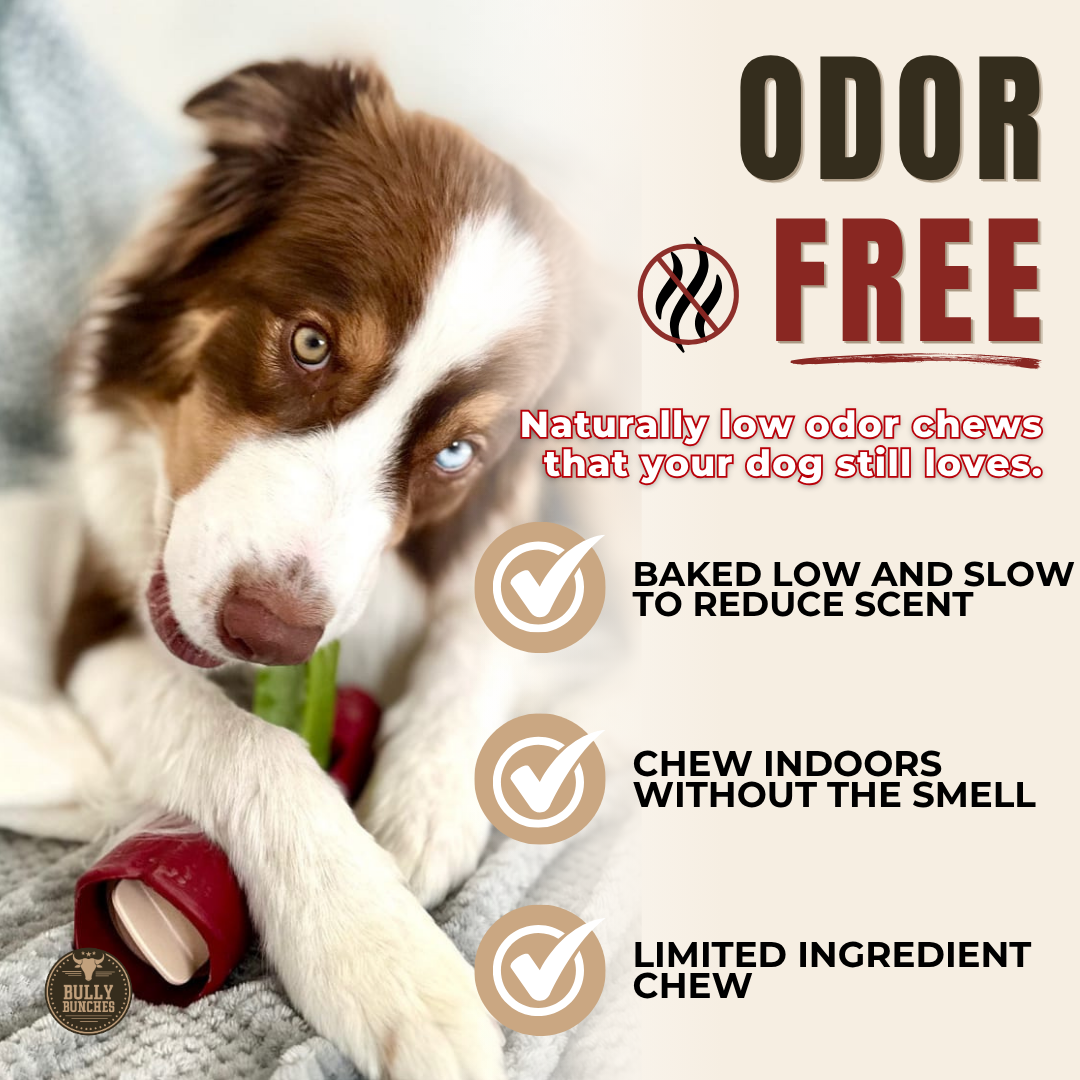 Himalayan Yak Chew Flavor Pack