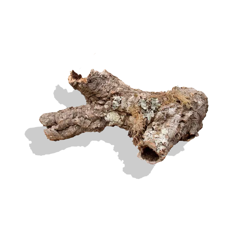 Single Cork Bark Rounds (Customizable)