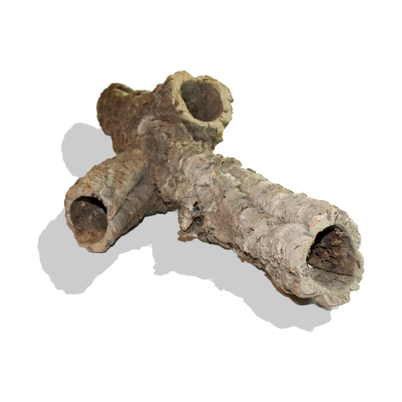 Single Cork Bark Rounds (Customizable)