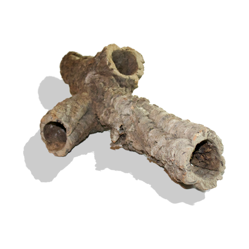 Cork Bark Rounds (Customizable)