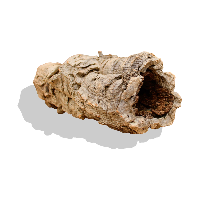 Single Cork Bark Rounds (Customizable)