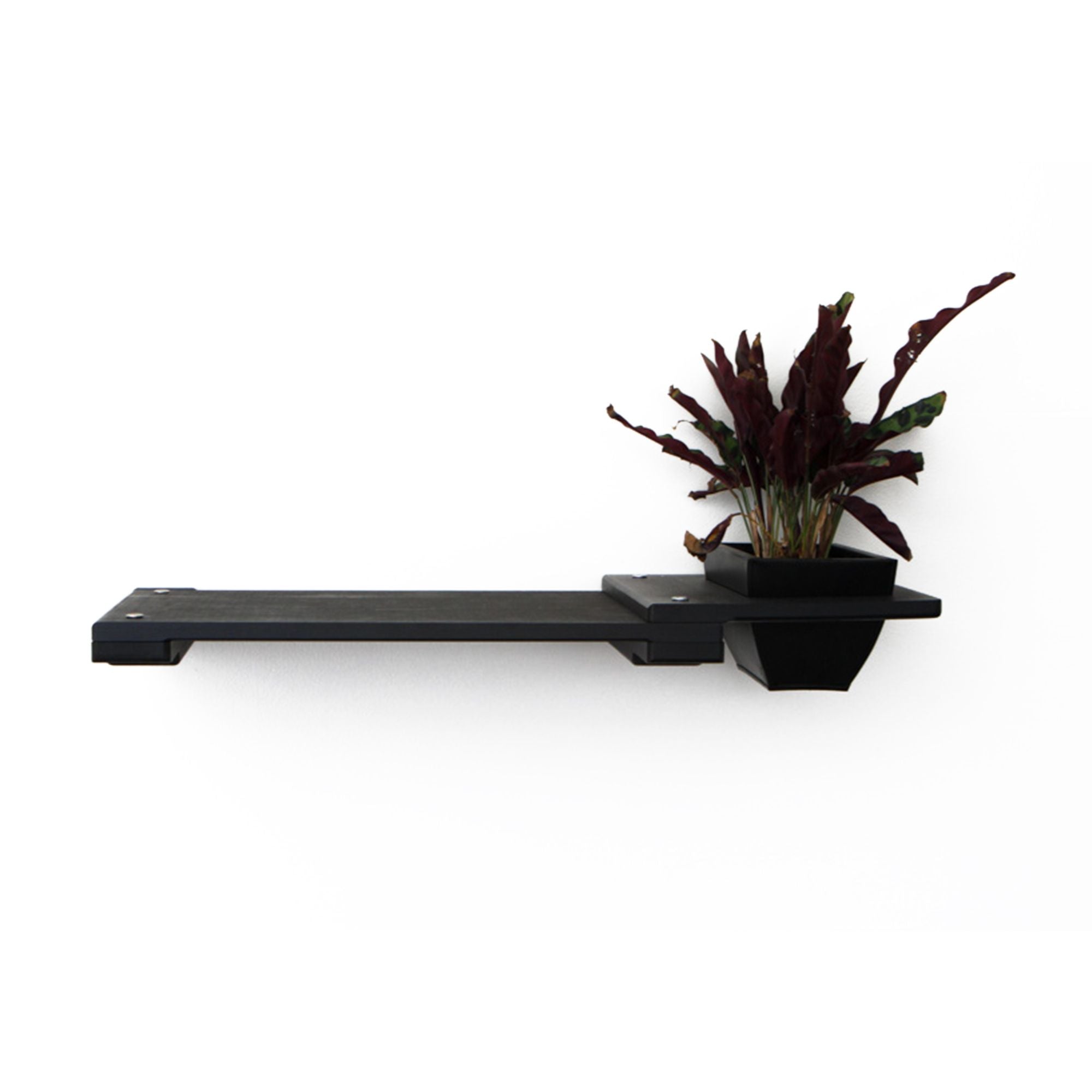 Cat Plant Stand for Wall