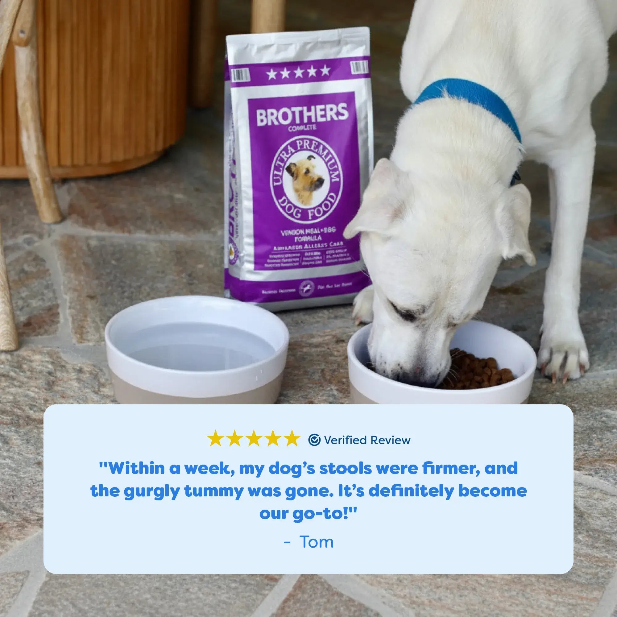 Venison & Egg Dog Food