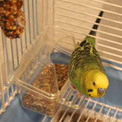 2lb Sunseed Vita Prima Parakeet Food