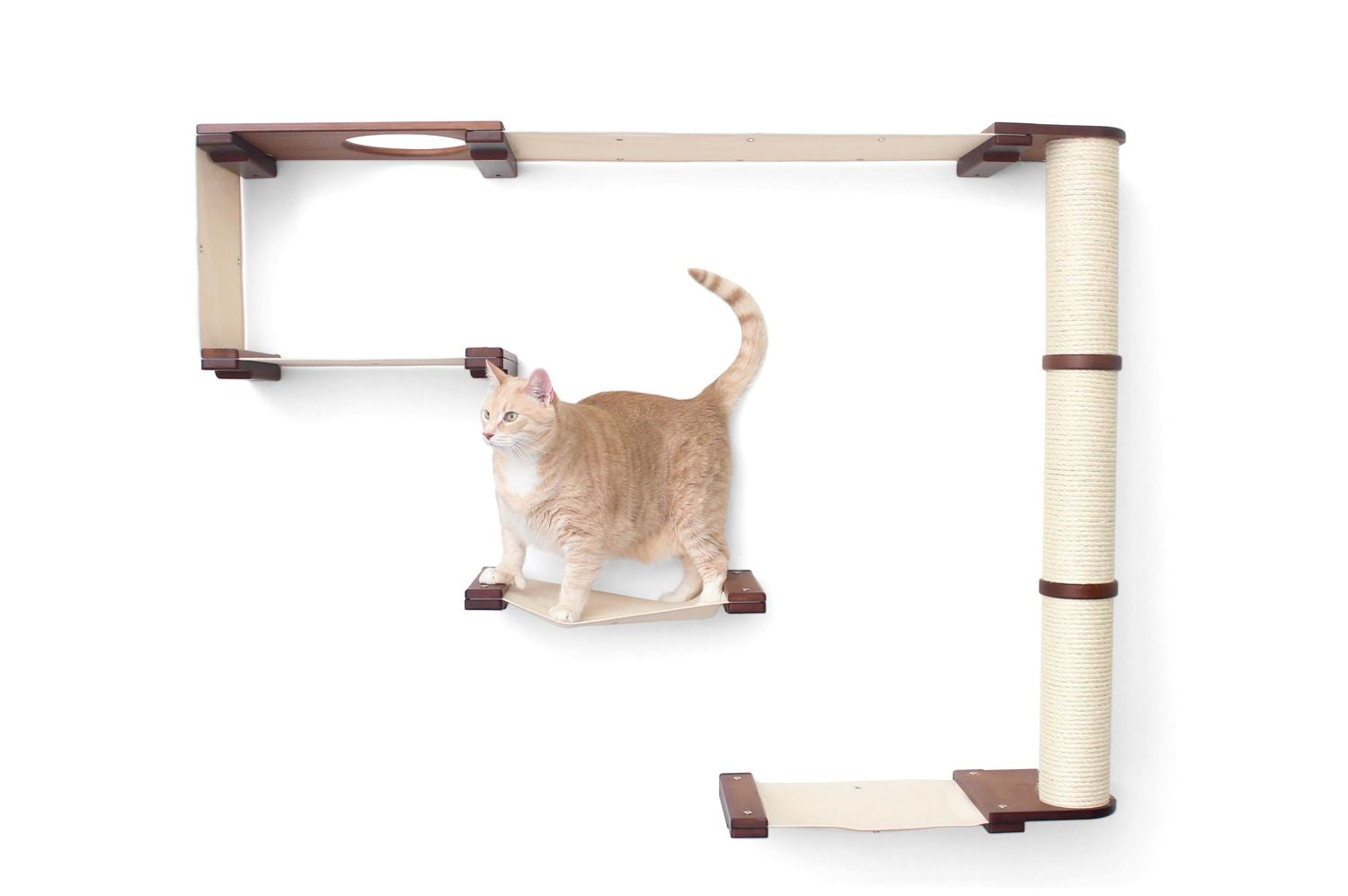 The Climb Condo - Cat Wall Climbing System