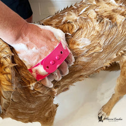 Grooming Bath Brush