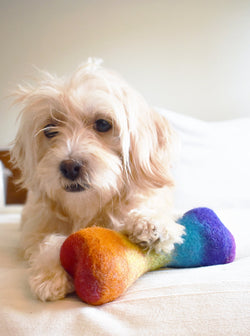 RAINBOW WOOLBONE