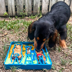 Waiting Dogs Design eTray Enrichment Tray for Dogs