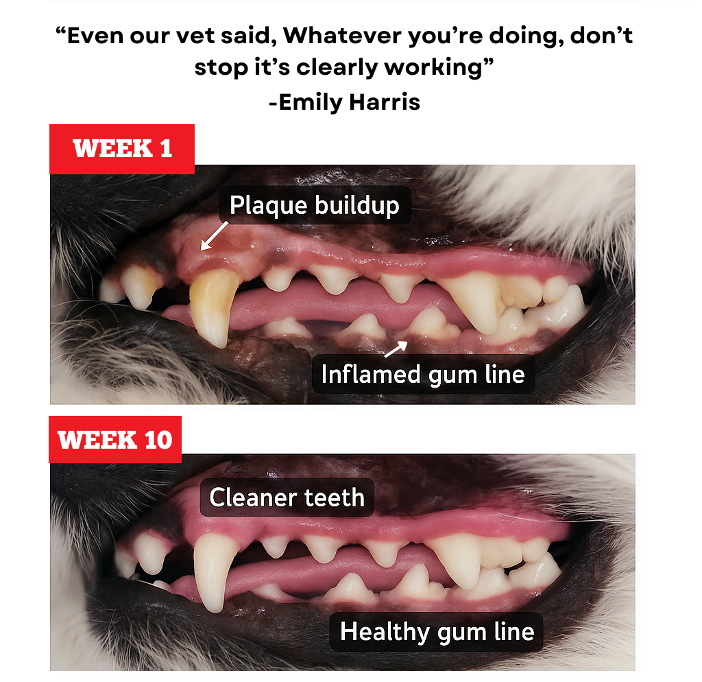 Himalayan Yak Chew Flavor Pack