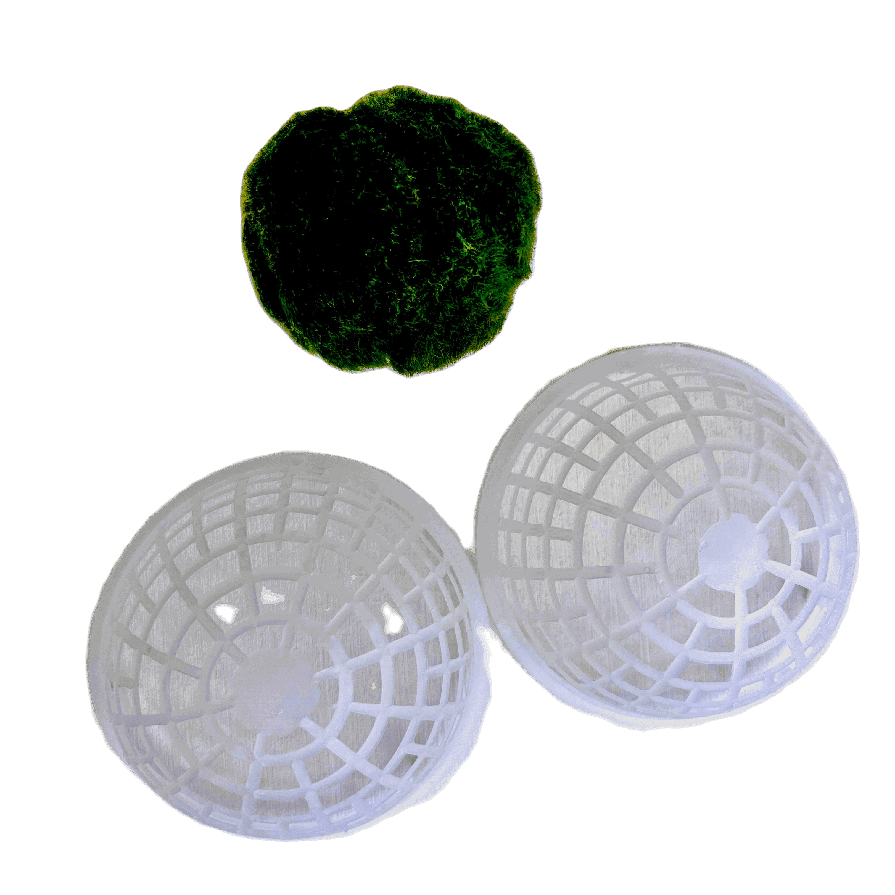 Large Decorative Balls Moss Balls Aquarium Floater Holder 80mm Decorative Ball