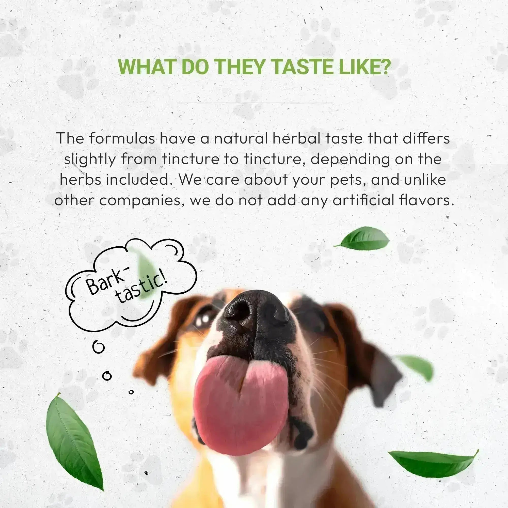 Wolf's Digestion - Healthy Digestion Support in Dogs